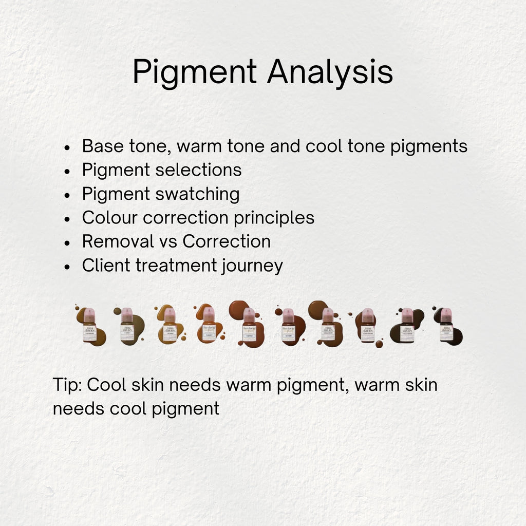 Brows Unlocked: Colour Theory, Skin Anatomy & Pigment Analysis