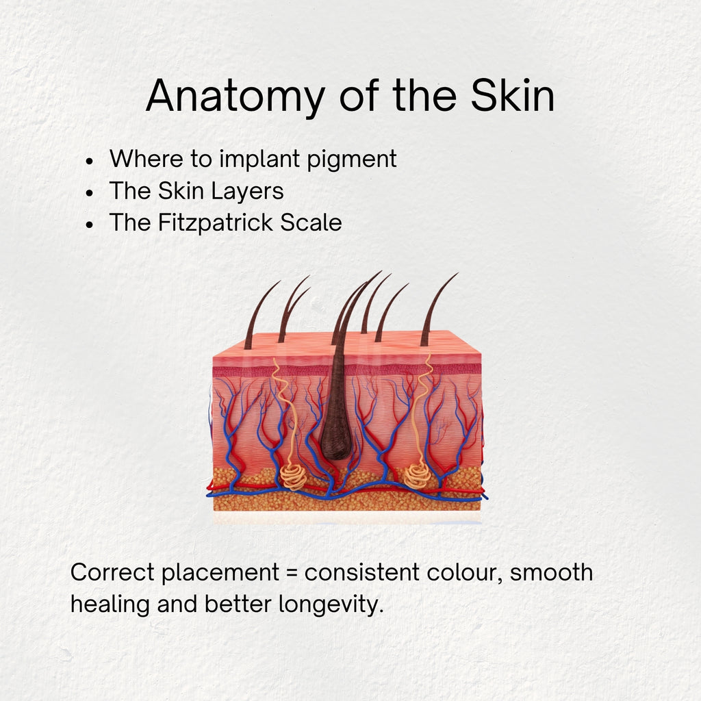 Brows Unlocked: Colour Theory, Skin Anatomy & Pigment Analysis