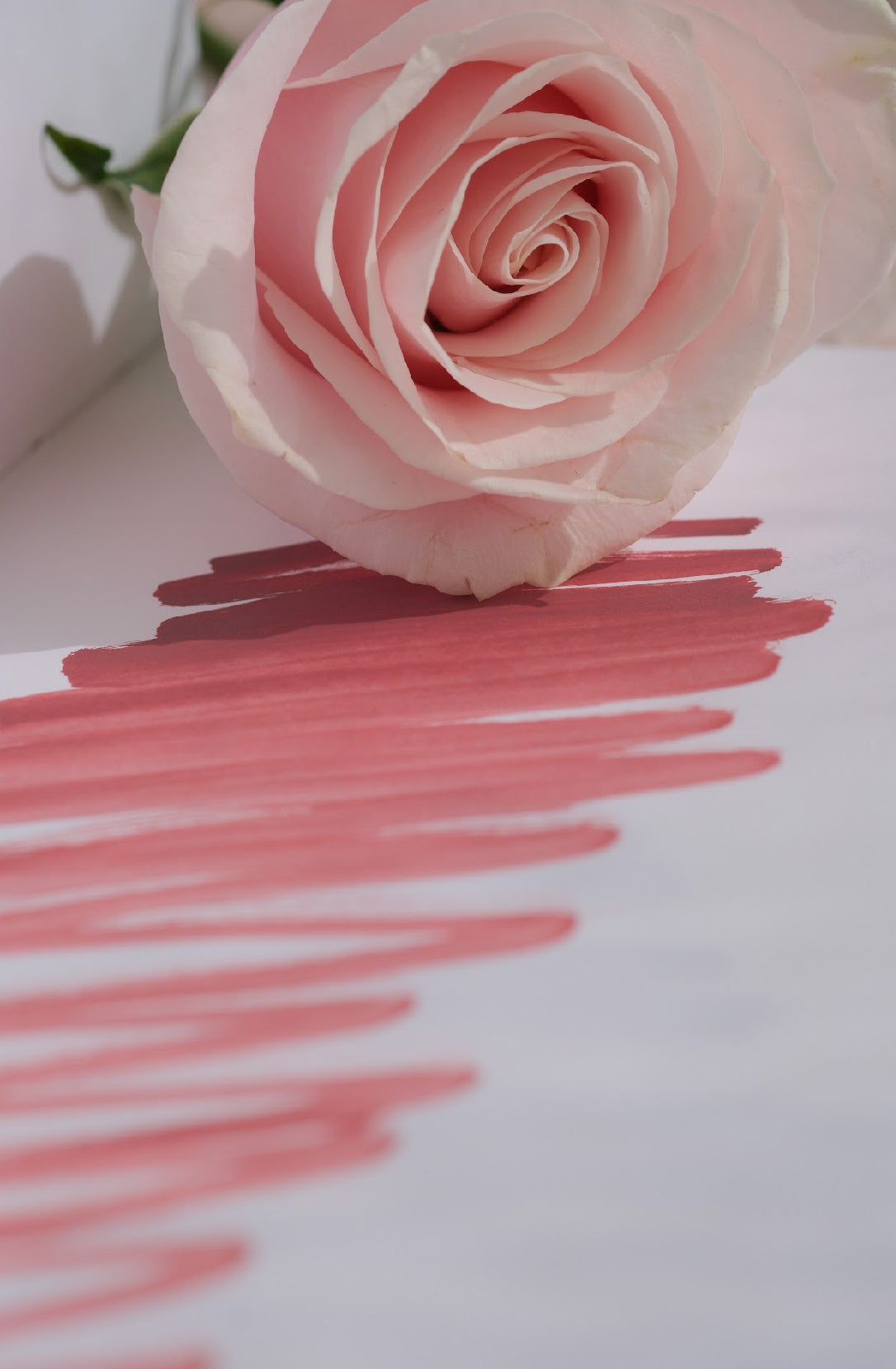 In Person Advanced | Lip Tattoo Course